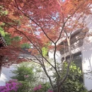 苏州旅游 缩略图 4