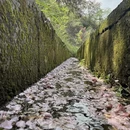 杭州旅游 缩略图 11