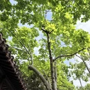 苏州旅游 缩略图 15