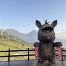 丽水旅游 缩略图 18