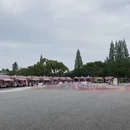 无锡旅游 缩略图 3