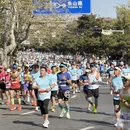 青岛旅游 缩略图 6