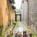 防城港旅游 缩略图 15