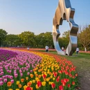 芜湖旅游 缩略图 6