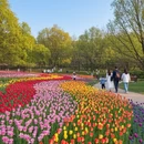 芜湖旅游 缩略图 9
