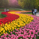 芜湖旅游 缩略图 3