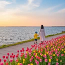芜湖旅游 缩略图 5