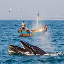 北海旅游 缩略图 3