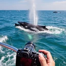 北海旅游 缩略图 6