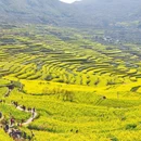 绍兴旅游 缩略图 4