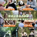 雅安旅游 缩略图 1