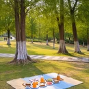 佛山旅游 缩略图 4