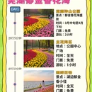 芜湖旅游 缩略图 1
