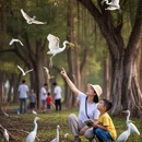 江门旅游 缩略图 6