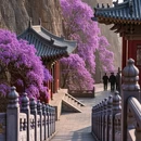 驻马店旅游 缩略图 5