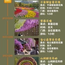 驻马店旅游 缩略图 1