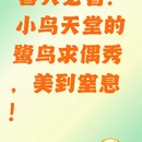 江门旅游 缩略图 1