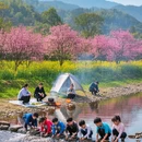 雅安旅游 缩略图 6