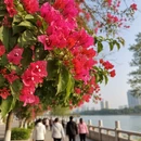 泉州旅游 缩略图 3