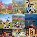 雅安旅游 缩略图 1