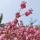 北京旅游 缩略图 8