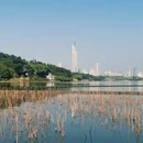 南京旅游 缩略图 6