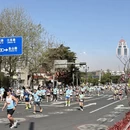 青岛旅游 缩略图 15