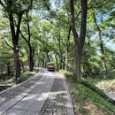 苏州旅游 缩略图 16
