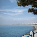 青岛旅游 缩略图 1
