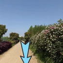 武汉旅游 缩略图 8