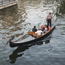 大连旅游 缩略图 5