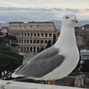 洛阳旅游 缩略图 5