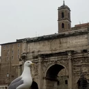 洛阳旅游 缩略图 16