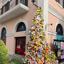 上海旅游 缩略图 10