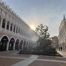 上海旅游 缩略图 13