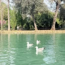 北京旅游 缩略图 6