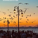 大连旅游 缩略图 5