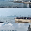 大连旅游 缩略图 6