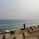 大连旅游 缩略图 9