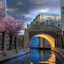 苏州旅游 缩略图 14