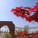 扬州旅游 缩略图 3