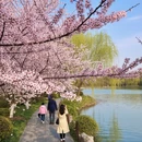 扬州旅游 缩略图 5