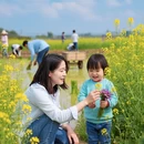 泰州旅游 缩略图 6