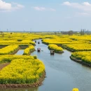 泰州旅游 缩略图 3