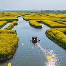 泰州旅游 缩略图 4