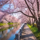 北京旅游 缩略图 6