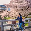 北京旅游 缩略图 2