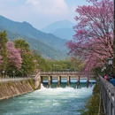 成都旅游 缩略图 8
