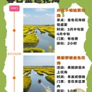 泰州旅游 缩略图 1