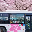 北京旅游 缩略图 5